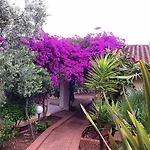 Ξενοδοχείο με διαμερίσματα Villaggio Turistico Defensola Βιέστε