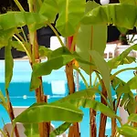 Villaggio Turistico Defensola Βιέστε