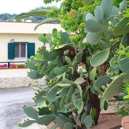 Appart hôtel Villaggio Turistico Defensola